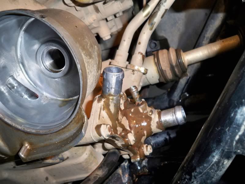 Water Pump Replacement Honda Rincon Forum